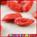 Venda quente seca goji berry sexo medicina goji baga dieta